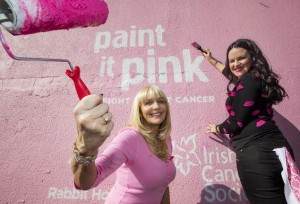 Irish Cancer Society ‘Paint it Pink’ campaign, to fight breast cancer, kicks off in County Offaly