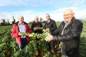 IFA LAUNCH CHRISTMAS FOR GROWERS CAMPAIGN