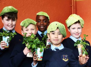 Primary School Pupils Put On Their ‘Veg-heads’ For Sow & Grow