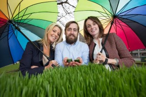 Show Your Business at Taste of Dublin – for FREE!