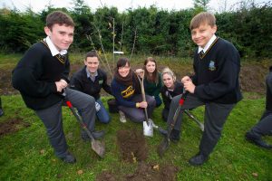 100 Orchards To Be Planted To Mark Ireland’s Centenary Celebrations