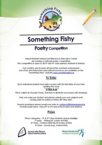 Inland Fisheries Ireland fishing for young poets in Tipperary