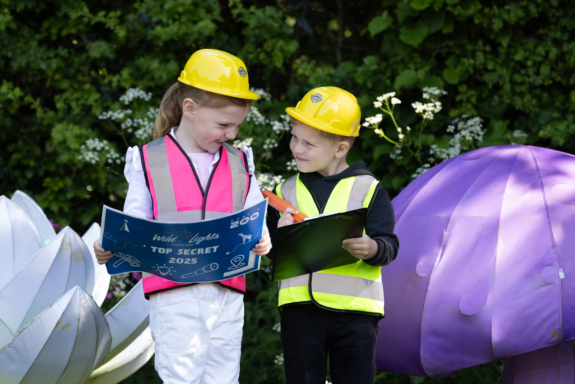 Dublin Zoo Wild Lights Tickets on Sale Thursday 12th June